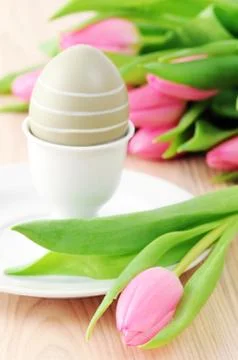 Easter egg in cup with bunch of tulips around Stock Photos