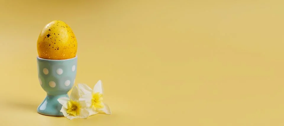 Easter egg with daffodils and copy space on yellow background Fotos de archivo