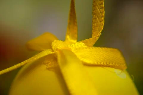 Easter egg decoration closeup Foto stock