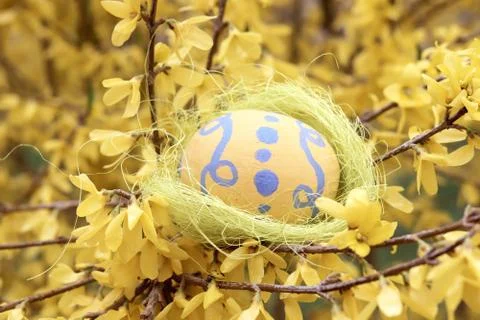 Easter egg in a decorative nest on the branches Stock Photos