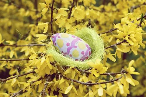 Easter egg in a decorative nest on the branches Stock Photos