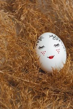 Easter egg in dry pampas grass Stock Photos