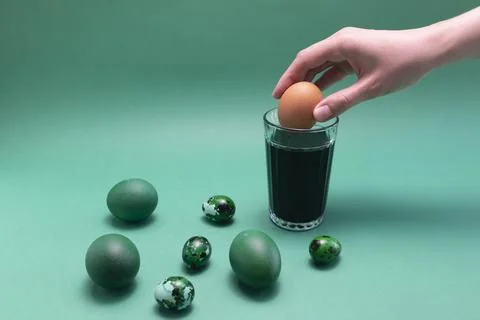 Easter egg dye. Woman's hands put chicken egg into coloring water, liquid in Stock Photos