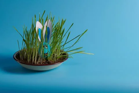 Easter egg with ears and a muzzle in the grass Stock Photos