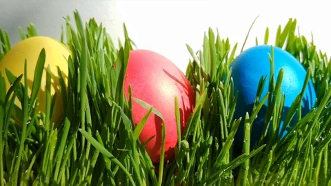 Easter egg falls into grass next to yellow and blue Easter eggs Stock Footage 105668274