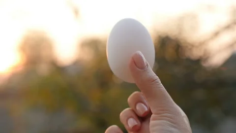 Easter egg in a female hand. Close-up Stock Footage 127639333