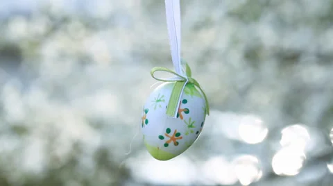 Easter egg on a flowering tree branch Stock Footage 35871355