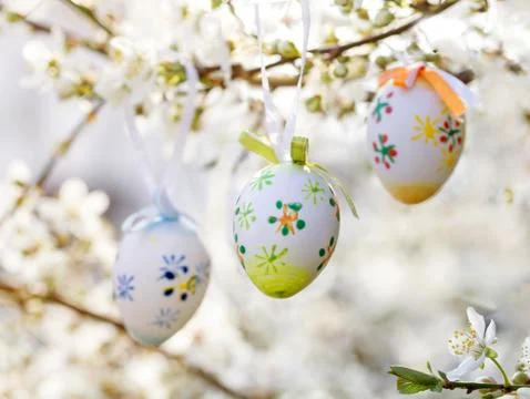 Easter egg on a flowering tree branch Stock Photos