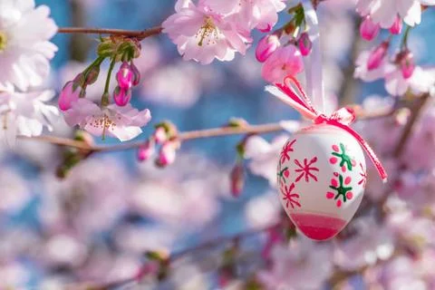 Easter egg on a flowering tree branch Stock Photos