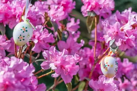 Easter egg on a flowering tree branch Stock Photos