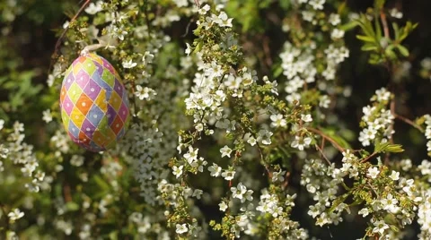 Easter Egg Stock Footage 50089547