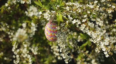 Easter Egg Stock Footage 50613453