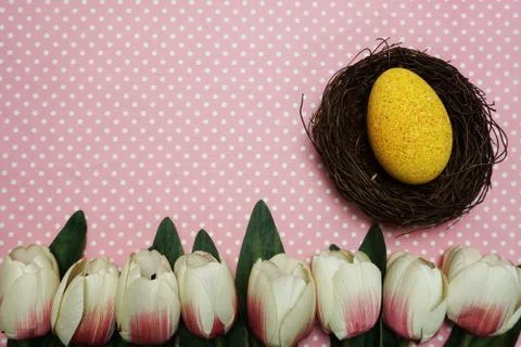 Easter egg with gift box and tulip flower on pink polka dot background Stock Photos