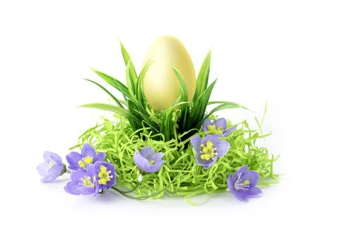 Easter egg in the grass and spring flowers on a white background Stock Photos