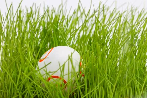 Easter egg in grass Foto stock