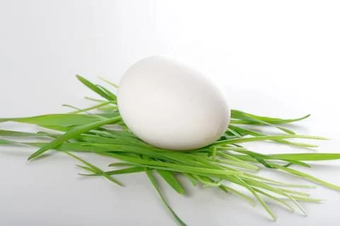 Easter egg on grass - studio shot 写真素材