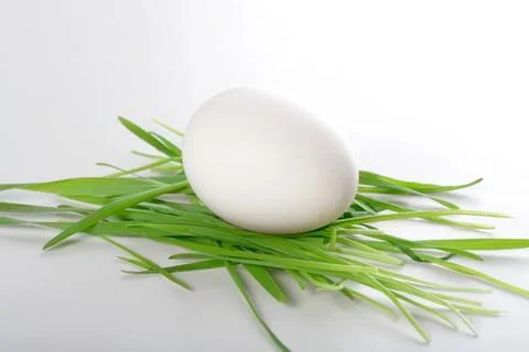 Easter egg on grass - studio shot Stock Photos