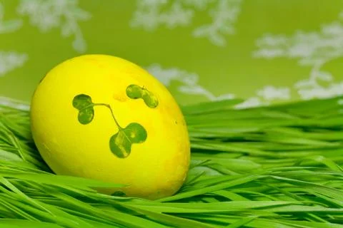 Easter Egg on green Grass Foto stock