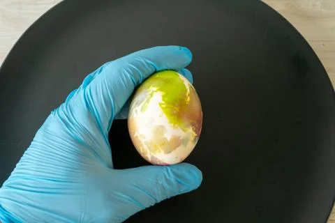 Easter egg in hands, hands wearing medical blue gloves. Stock Photos