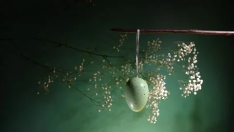Easter egg hanging on a branch, springtime decor, flower background, holida.. Stock Footage 261379047