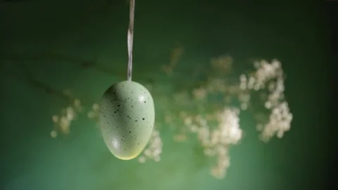 Easter egg hanging on a green branch, festive DIY decor, spring celebration Stock Footage 262946585