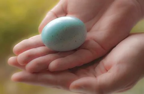An Easter egg held with two hands. Stock Photos