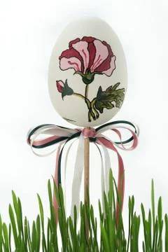 Easter egg hidden in the grass and painted colors. Stock Photos
