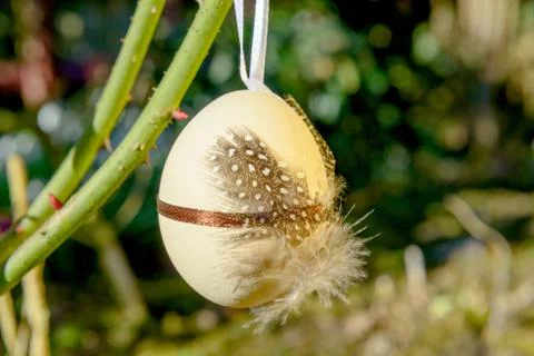 Easter egg hung in the branches Stock Photos