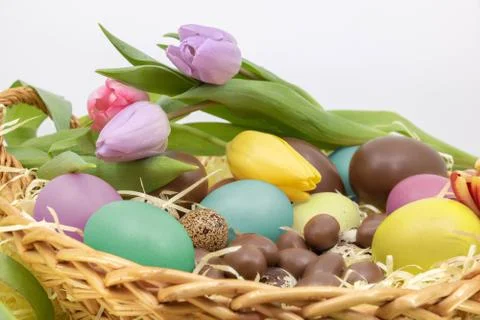 Easter egg hunt and spring arrival Stock Photos