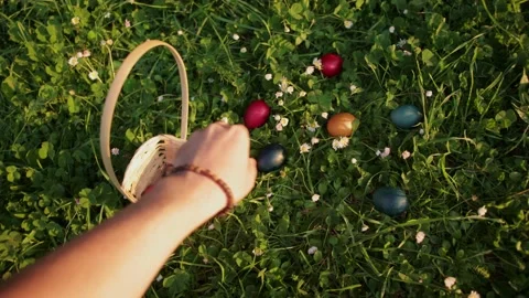 Easter Egg Hunt. Child collects Easter eggs and puts in a basket. Eggs in a Stock Footage 237729529