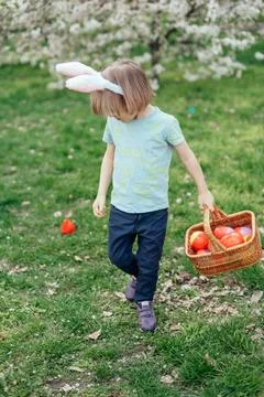 Easter Egg Hunt with Child in Flowering Orchard Stock Photos