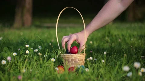 Easter Egg Hunt. Collects Easter eggs and puts in a basket. Eggs in a round Stock Footage 237726872