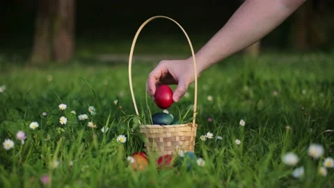 Easter Egg Hunt. Collects Easter eggs and puts in a basket. Eggs in a round Stock Footage 237727036