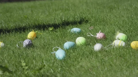Easter egg hunt game start colorful Easter eggs falling down green grass Video stock 231207490