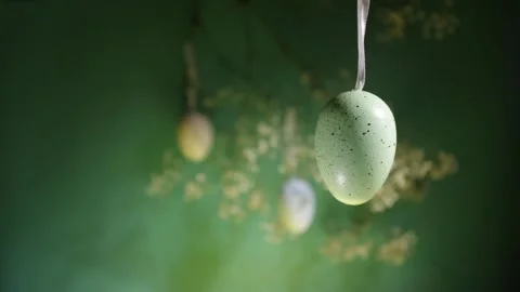 Easter egg hunt, hanging decoration, spring flowers, festive card Stock Footage 262145314