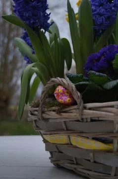 Easter egg hunt Stock Photos