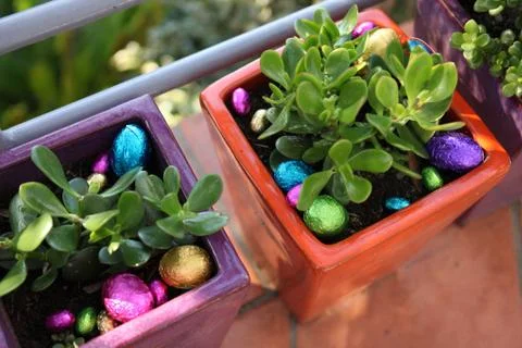 Easter egg hunt Stock Photos
