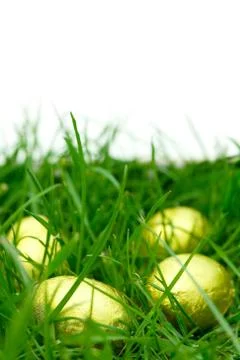 Easter egg hunt Stock Photos