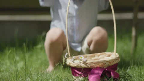 Easter Egg Hunt preparations: little boy kid wearing funny bunny ears, basket Stock Footage 232541133