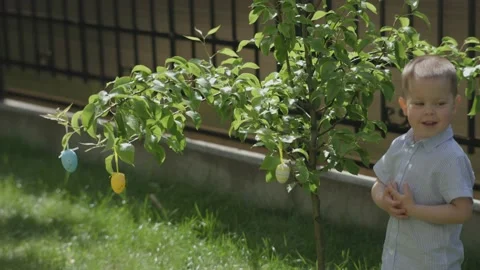 Easter Egg hunt rush: happy child finds colorful Easter eggs hanging tree brunch Video stock 232541270