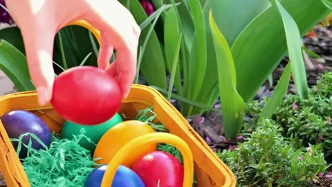 Easter Egg Hunt in a spring garden.Basket of bright Easter eggs in the sun Stock Footage 296696815