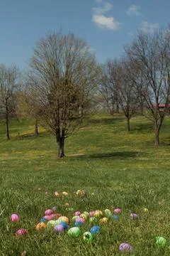 Easter Egg Hunt in Spring Stock Photos