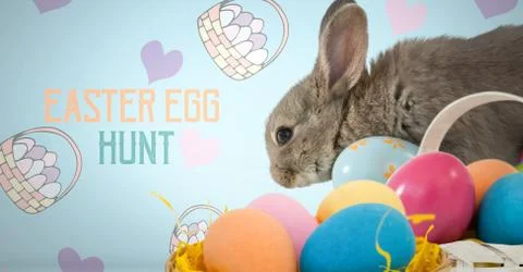 Easter Egg Hunt text with Easter rabbit with eggs in front of pattern Stock Photos
