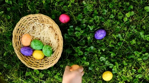 Easter Egg Hunt.Child collects Easter eggs on a green clover. Stock Footage 162114014
