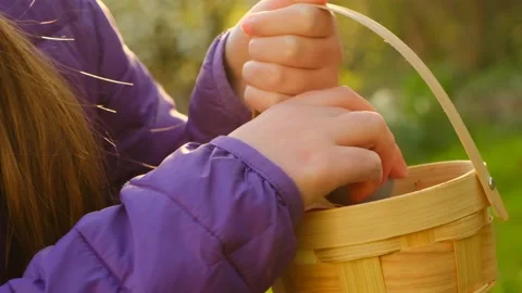 Easter Egg Hunt.Child collects eggs and puts in a basket in the spring garden Stock Footage 160970414