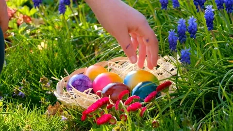 Easter Egg Hunt.Childs hand puts eggs in a wicker basket in blue muscari flowers Stock Footage 227849575