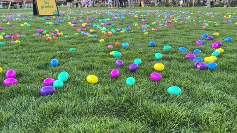 Easter Egg Hunting Activities For Young Kids And Families (Community Event) Stock-Footage 334021350