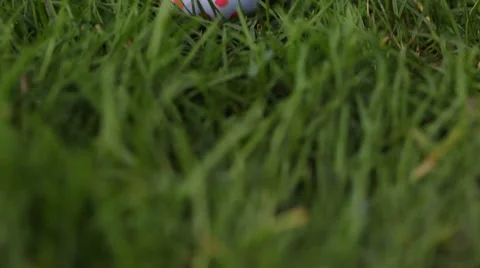 Easter egg hunting in grass, closeup Stock Footage 61664108