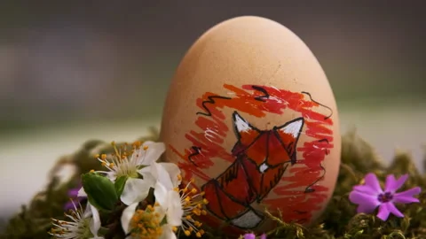 Easter egg with the image of a fox. Christ is resurrected. Stock Footage 146995706