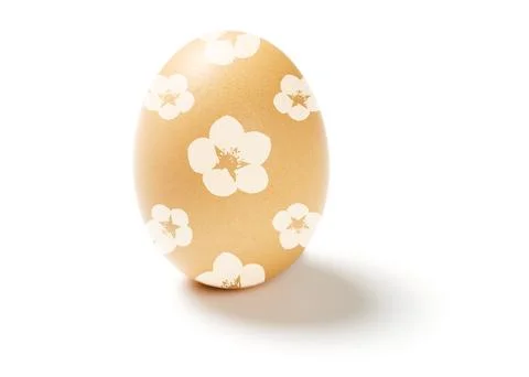 Easter egg isolated on white background 4 Stock Photos